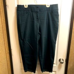Lane Bryant Allie Pants With Lace Detail Size 20